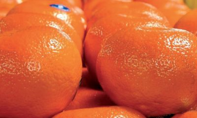 mandarine