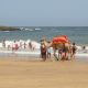 Maroc Plages Pavillon Bleu