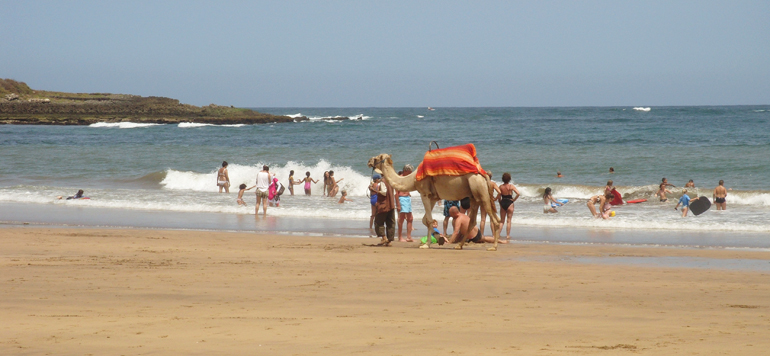 Maroc Plages Pavillon Bleu