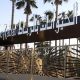 Jardin Zoologique de Rabat
