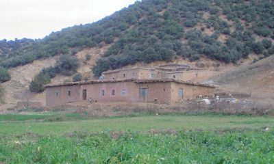 irriguer
