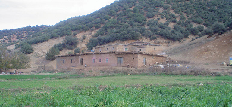 irriguer