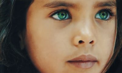 Il suffit ouvrir les yeux COP22