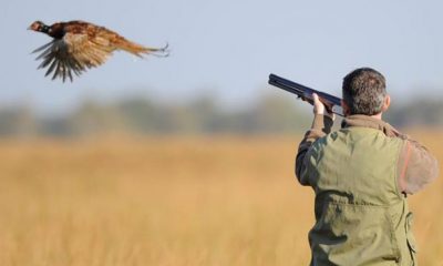chasse