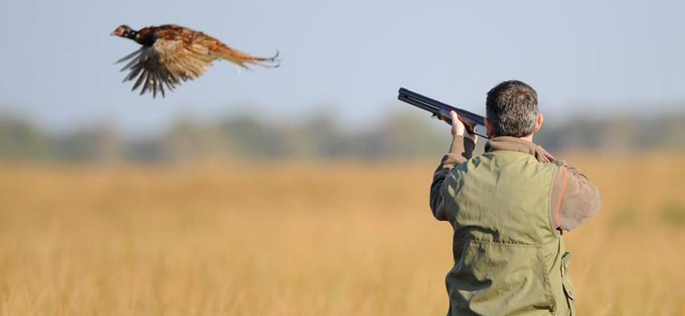 chasse