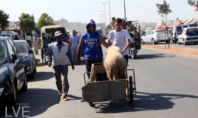 Aid Al Adha2
