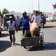 Aid Al Adha2