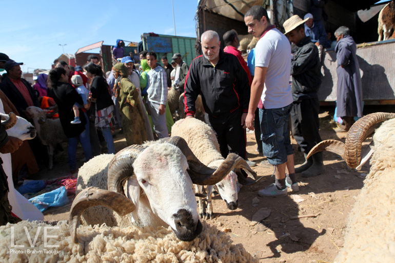Aid Al Adha6