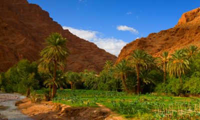 Ouarzazate se dote un Centre international des etudes et de recherches strategiques