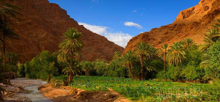 Ouarzazate se dote un Centre international des etudes et de recherches strategiques