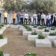 cimetiere des victimes 2