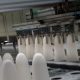 production de sucre blanc