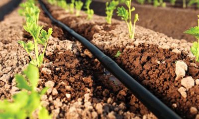Irrigation