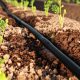 Irrigation