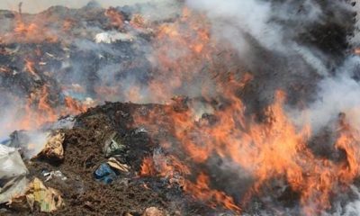 9 tonnes de drogue et de cigarettes de contrebande detruites