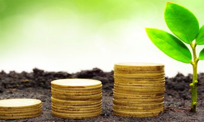AMMC lance son guide sur les Green Bonds