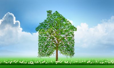 Batiment et construction developpement durable