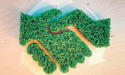 COP 22 De la negociation action