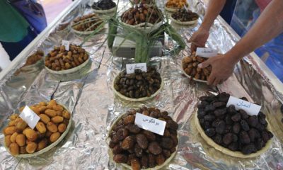 Dattes 128 000 tonnes recoltees en 2016