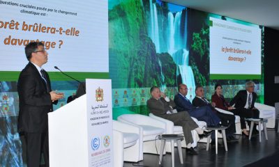 collectivites territoriales marocaines impliquees dans le processus de lutte