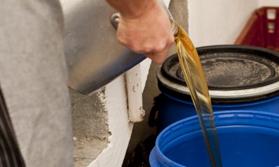 huiles alimentaires usagees