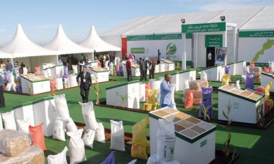 la Caravane OCP cereales et legumineuses 2016