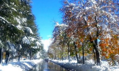 la neiges a Ifrane