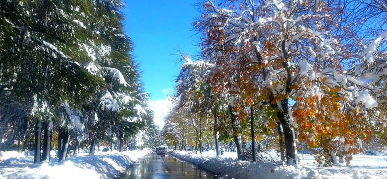 la neiges a Ifrane