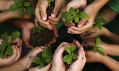 protection environnement