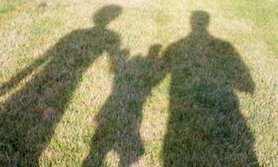 Familles recomposees
