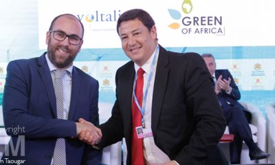 Green of Africa