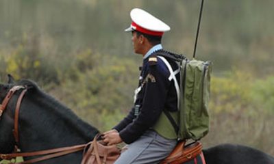 La Gendarmerie et les infractions ecolo