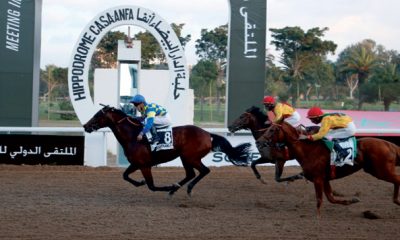 La filiere equine prend du galon depuis 2011