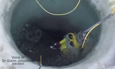 Robot glace en Antarctique
