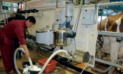 Solide appui allemand pour la formation des agriculteurs