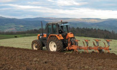 agricole