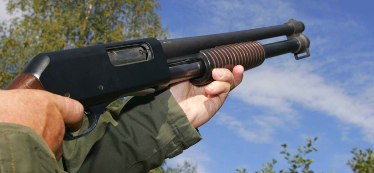 fusil de chasse