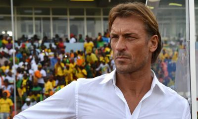 Herve Renard