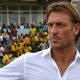 Herve Renard