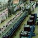 Poisson industriels