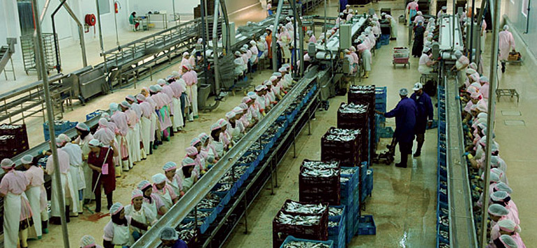 Poisson industriels