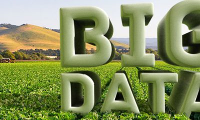 Big Data agriculture