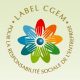 RSE de la CGEM
