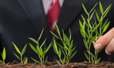 entreprise performance