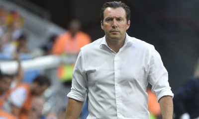 marc wilmots