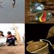 Evolution ludique des enfants