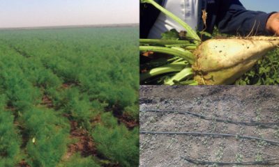 agriculteurs