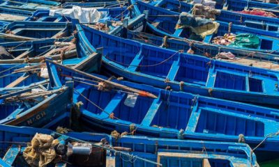 chantier clandestin de fabrication de barques