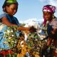 coton africain