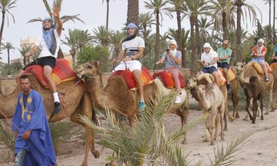 dimitrov marrakech